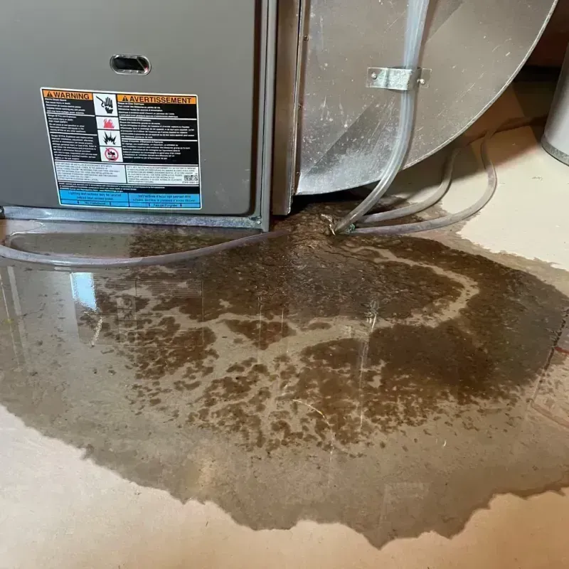 Appliance Leak Cleanup in Downers Grove, IL